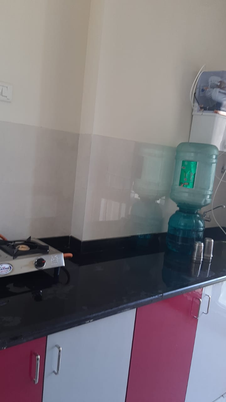 Pg For Rent in Sm Business 