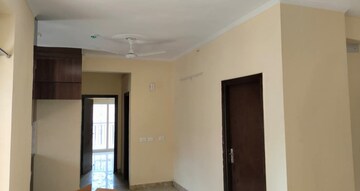 3 BHK Apartment For Rent in Amrapali Terrace Homes, Tech Zone 4 Greater Noida
