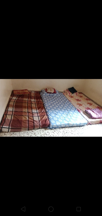 Pg For Rent in Girls Pg 