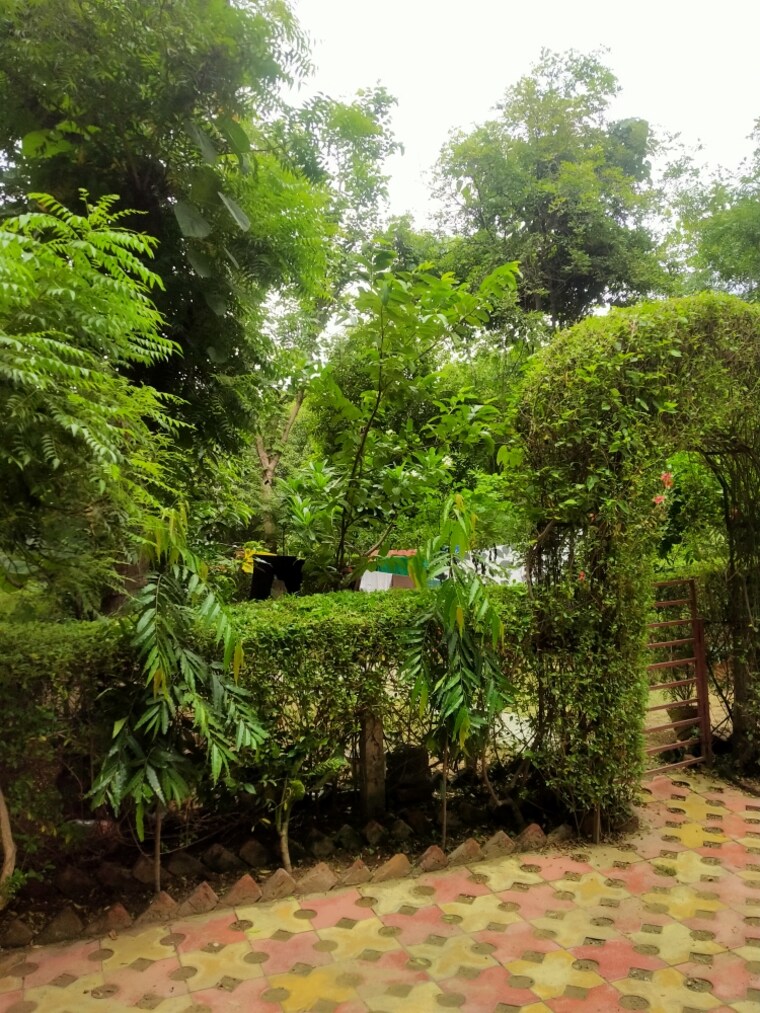 Garden, nri city 6+ Bedroom 300 Sq.Yd. Independent House In Nri City Greater Noida 9181089