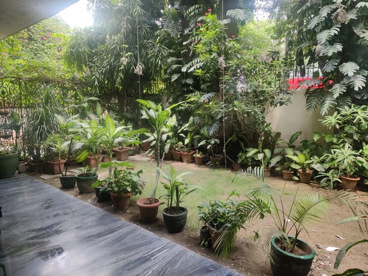Garden, new friends colony 6+ Bedroom 10000 Sq.Ft. Independent House In New Friends Colony Delhi 9181126