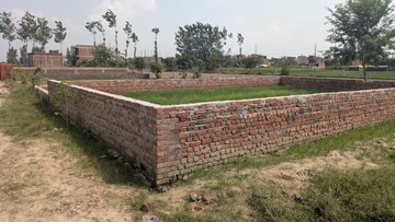 Plot Area in  Plot at Sector 145 – for Sale