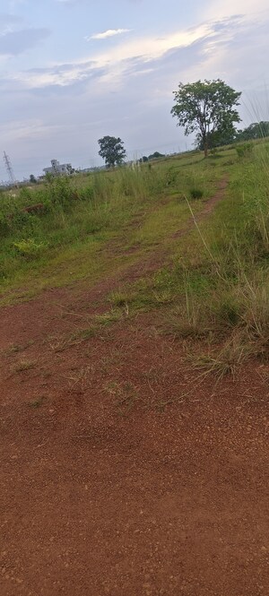 Plot Area in  Plot at ORO Avenue, Sijua – for Sale