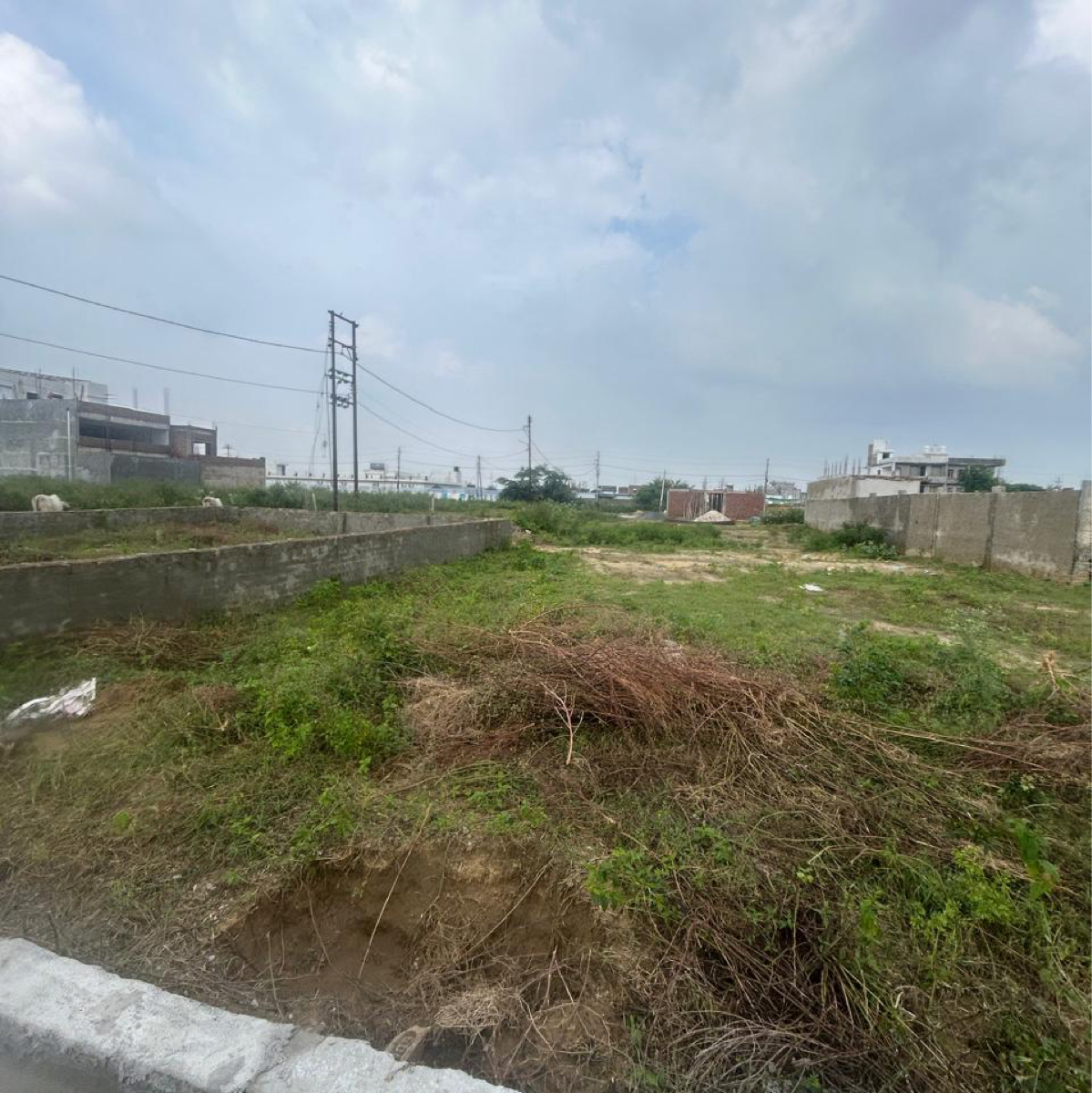 Plot For Sale in Authority Plots Kisan Quo