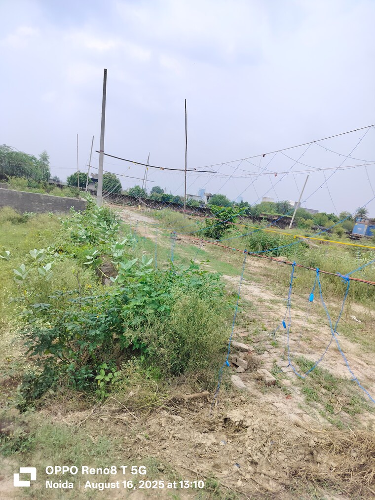 undefined, sector 27 yamuna expressway  1000 Sq.Yd. Plot In Sector 27 Yamuna Expressway Greater Noida 9181642