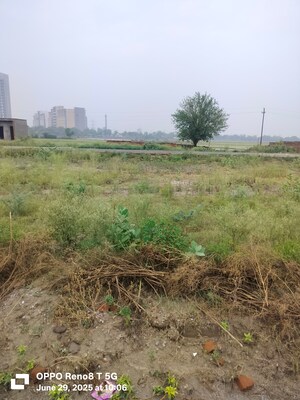 Plot Area in  Plot at Sector 27 Yamuna Expressway – for Sale