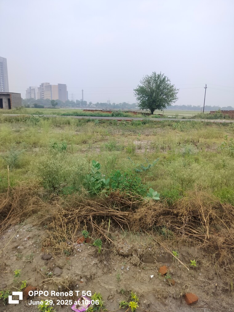 undefined, sector 27 yamuna expressway  1000 Sq.Yd. Plot In Sector 27 Yamuna Expressway Greater Noida 9181642