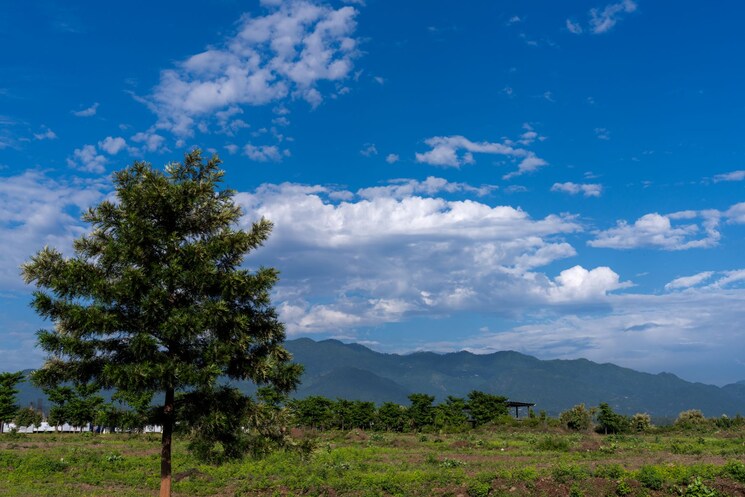 Exterior View, panchkula urban estate 3 Bedroom 360 Sq.Yd. Apartment In Panchkula Urban Estate Panchkula 9181662