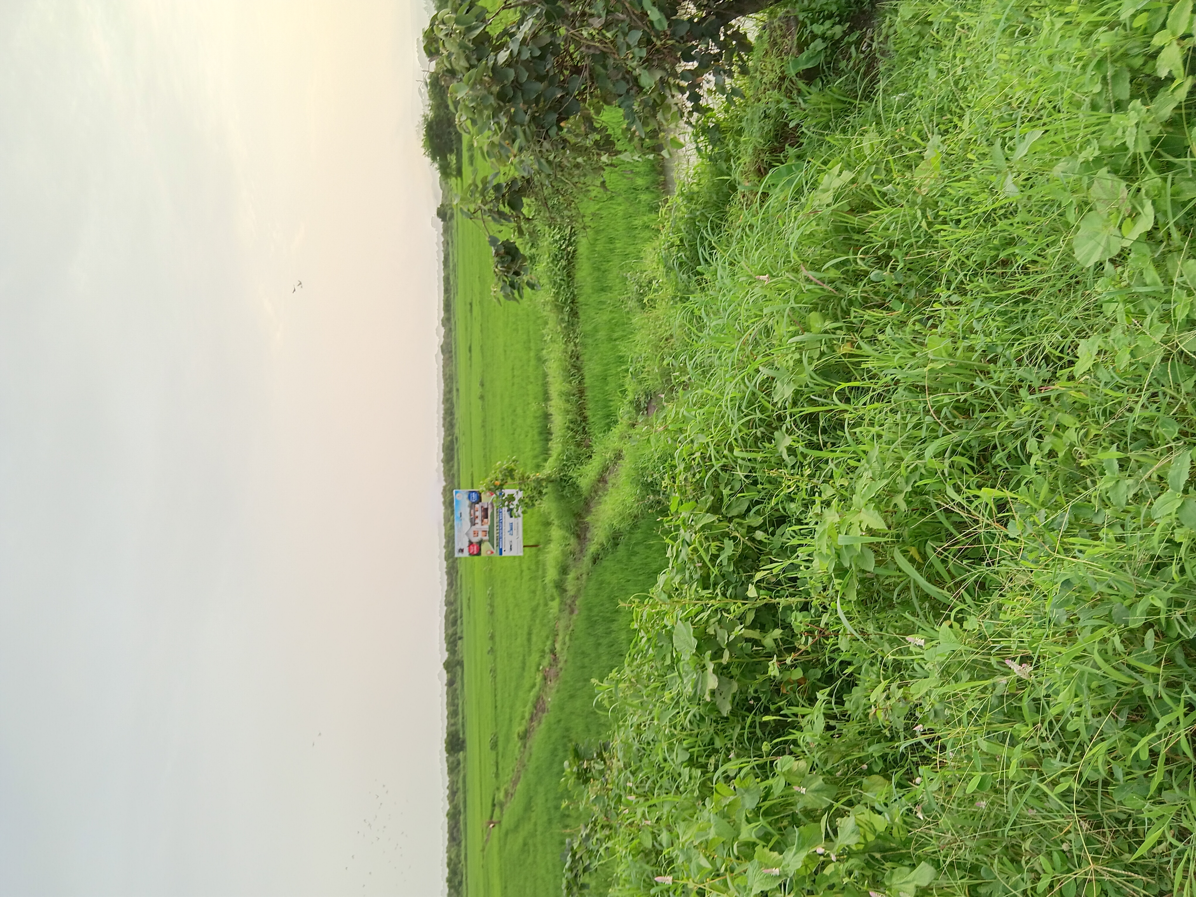 Plot For Sale in Residential Plot 