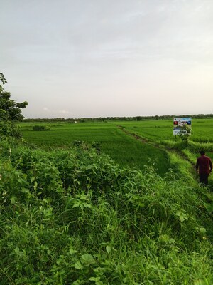  Plot – Exterior View View at Uran - for Sale