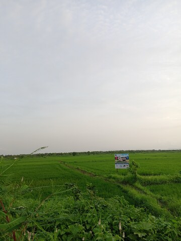  Plot – Exterior View View at Uran - for Sale