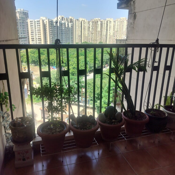 Gym, logix-blossom-county 2 Bedroom 968 Sq.Ft. Apartment In Sector 137 Noida 9181990