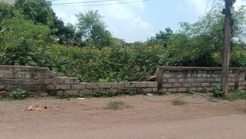 Plot Area in  Plot at Deopuri – for Sale