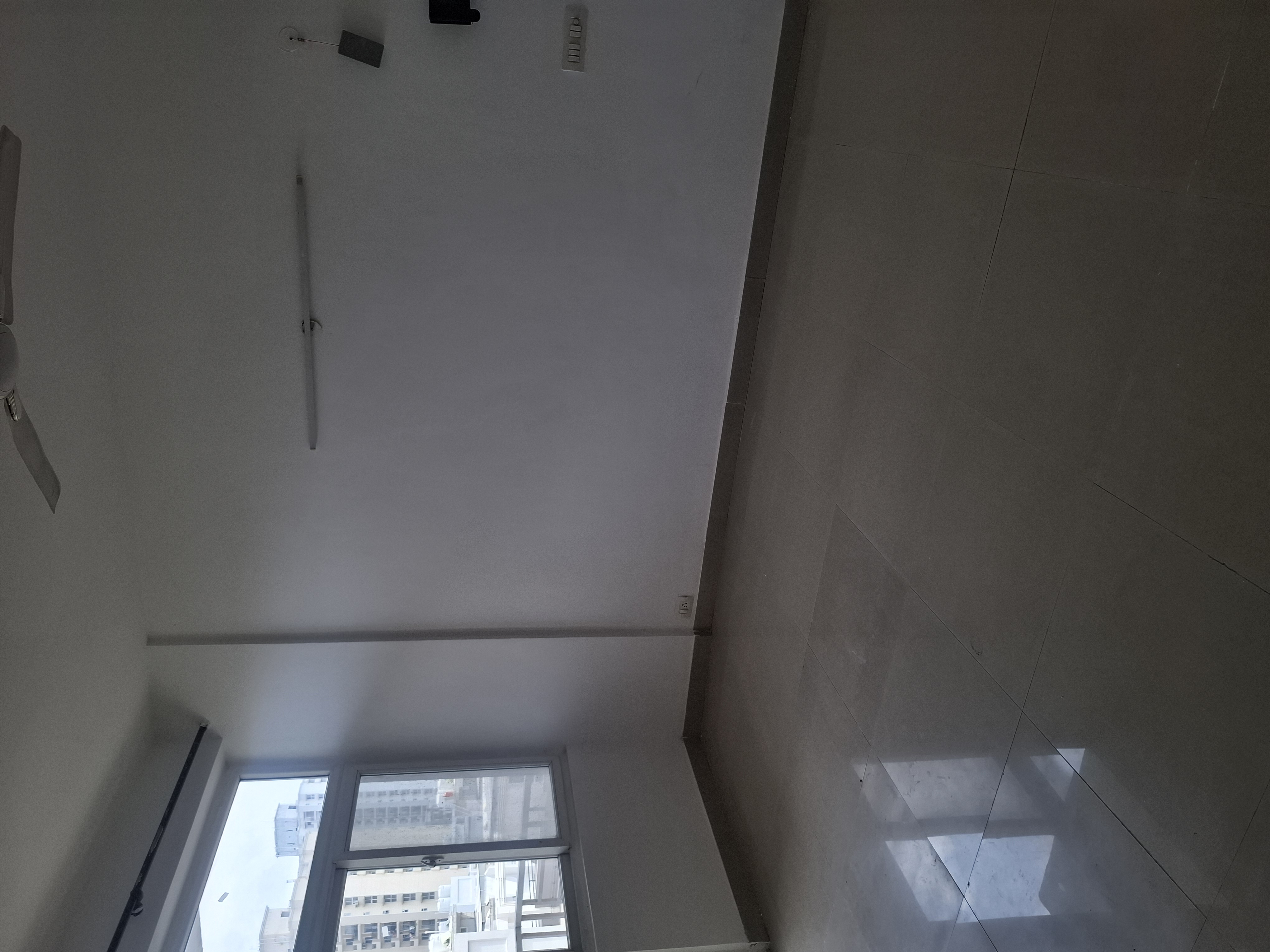 3 BHK Apartment For Rent in Tulip Petals