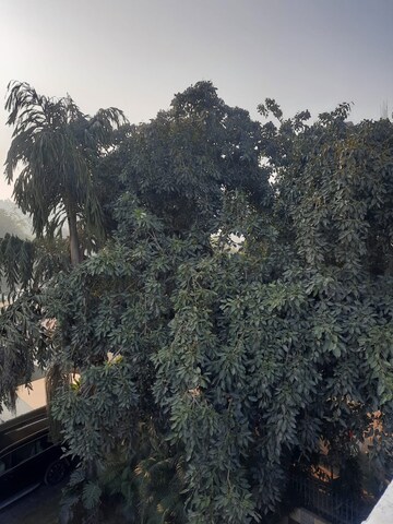 2 BHK Villa – Exterior View View at DLF Moulsari Arcade, Sector 24 - for Rent