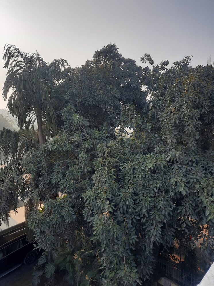 Exterior View, dlf-moulsari-arcade 2 Bedroom 1500 Sq.Ft. Villa In Sector 24 Gurgaon 8996543