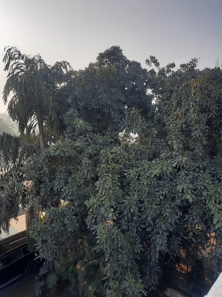 Exterior View, dlf-moulsari-arcade 2 Bedroom 1500 Sq.Ft. Villa In Sector 24 Gurgaon 8996543