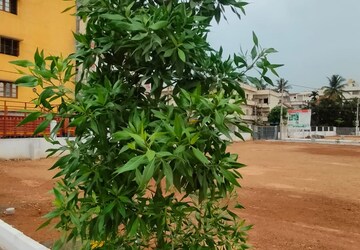 Plot – Exterior View View at Chandapura - for Sale