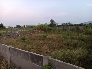  Plot For Sale in Nere