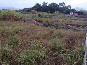 Plot Area in  Plot at Nere – for Sale