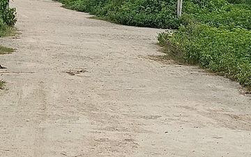 Plot For Sale in Kamta