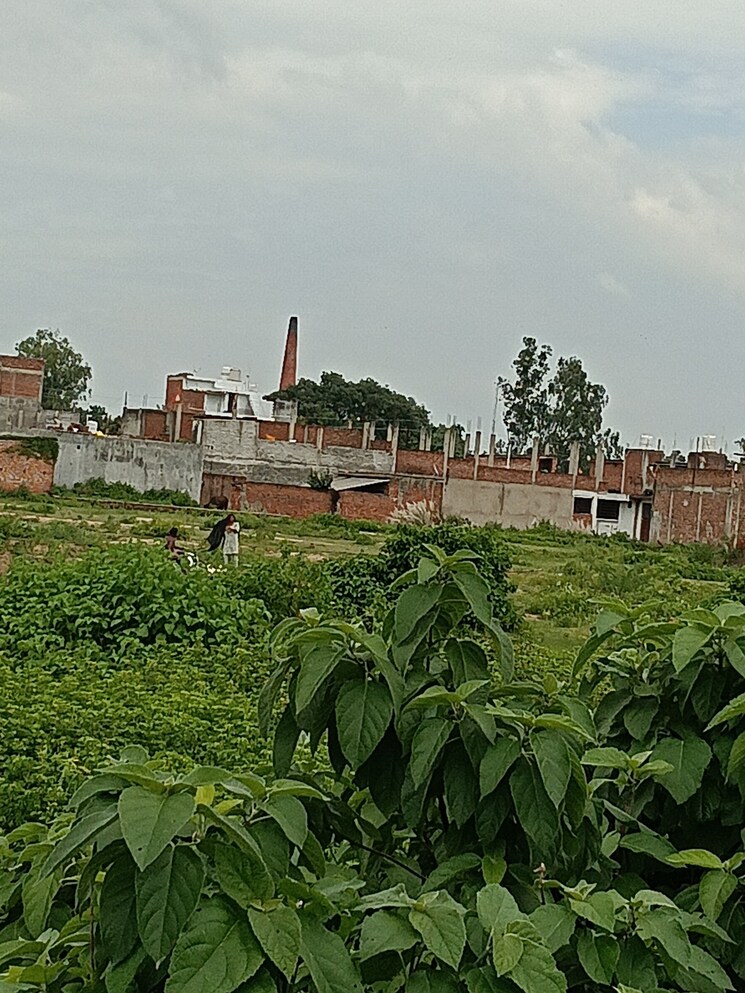 Exterior View, kamta  1200 Sq.Ft. Plot In Kamta Lucknow 9182895