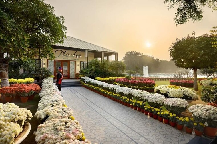 Swimming Pool, central-park-flower-valley-mikasa-plots  400 Sq.Yd. Plot In Sohna Sector 33 Gurgaon 9182934