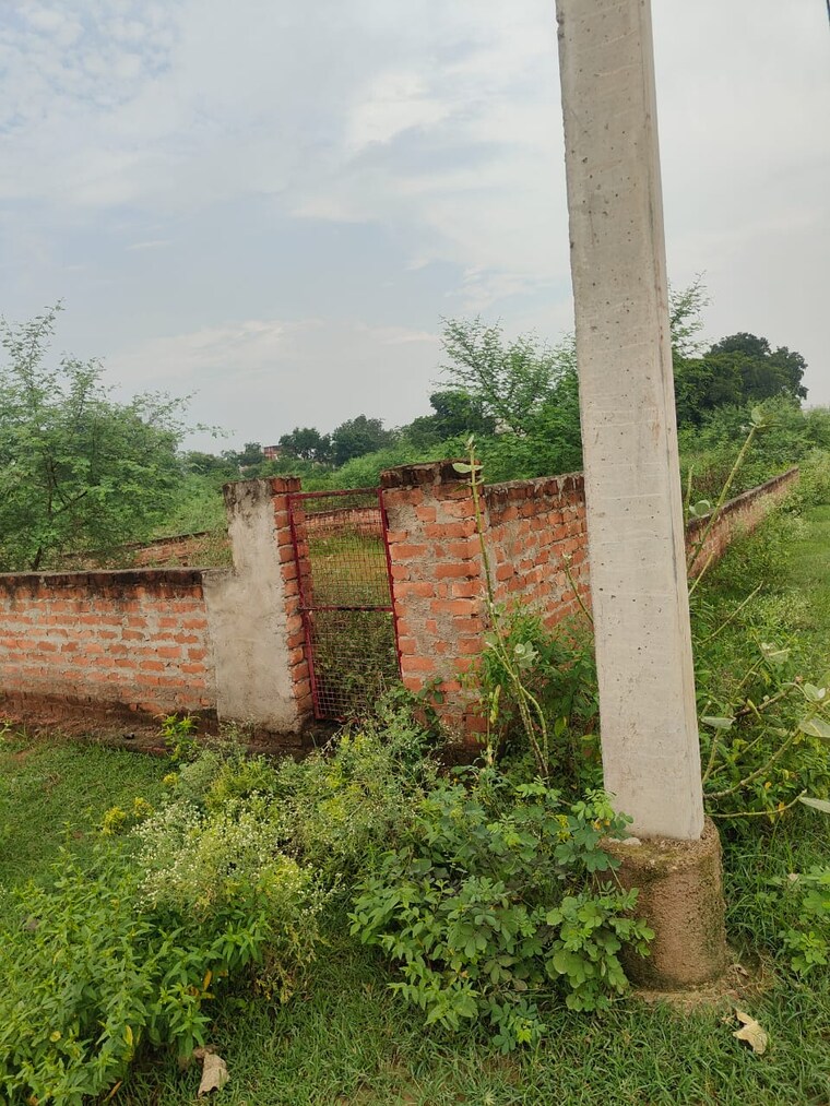 Garden, sheetal-residency-kamta  1100 Sq.Ft. Plot In Kamta Lucknow 9182956