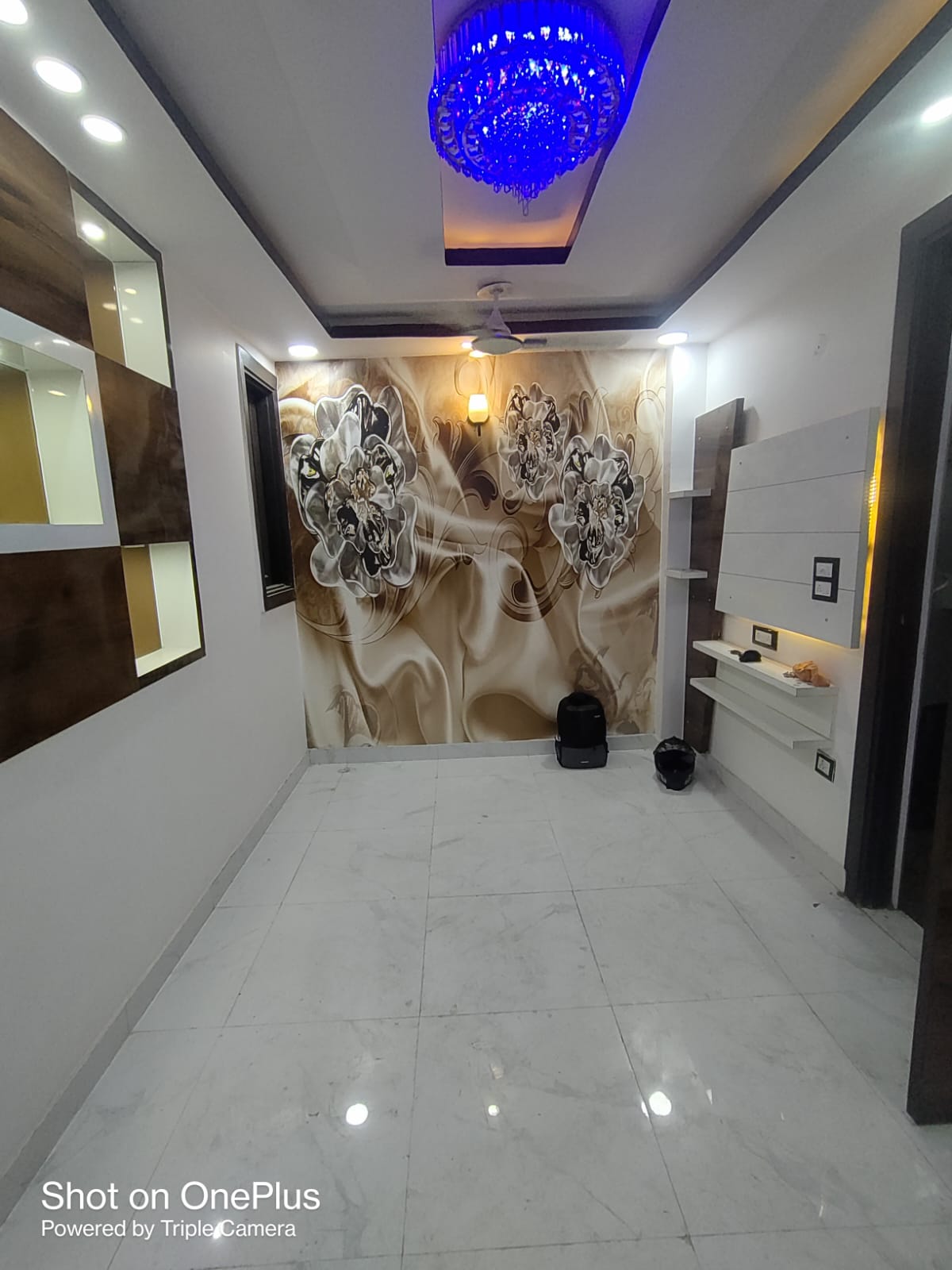 2 BHK Builder Floor For Rent in Dream Home Properties