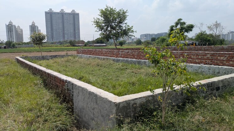 undefined, sector 137  550 Sq.Ft. Plot In Sector 137 Noida 9183234
