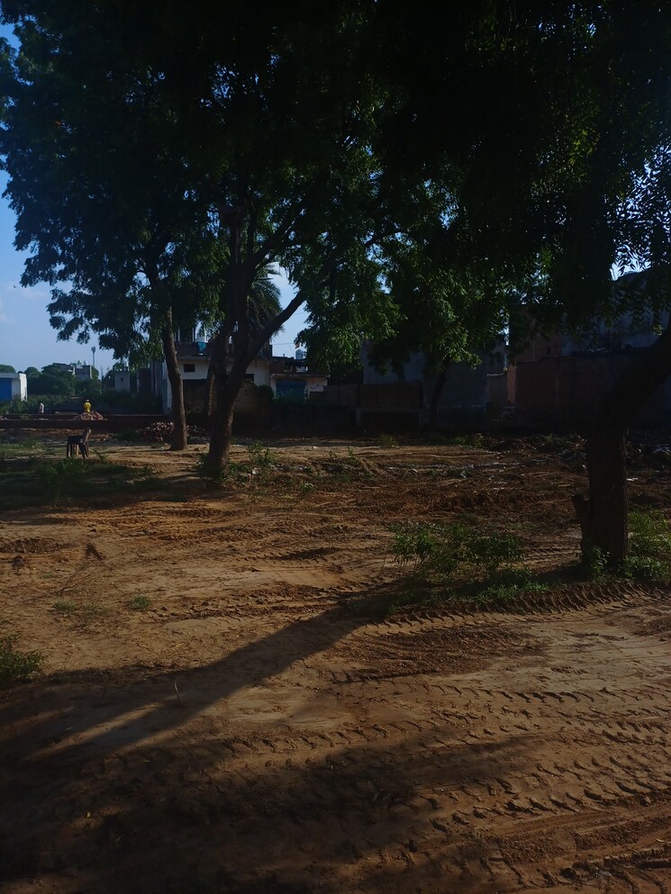 Garden, dheeraj nagar  152 Sq.Yd. Plot In Dheeraj Nagar Faridabad 9183264