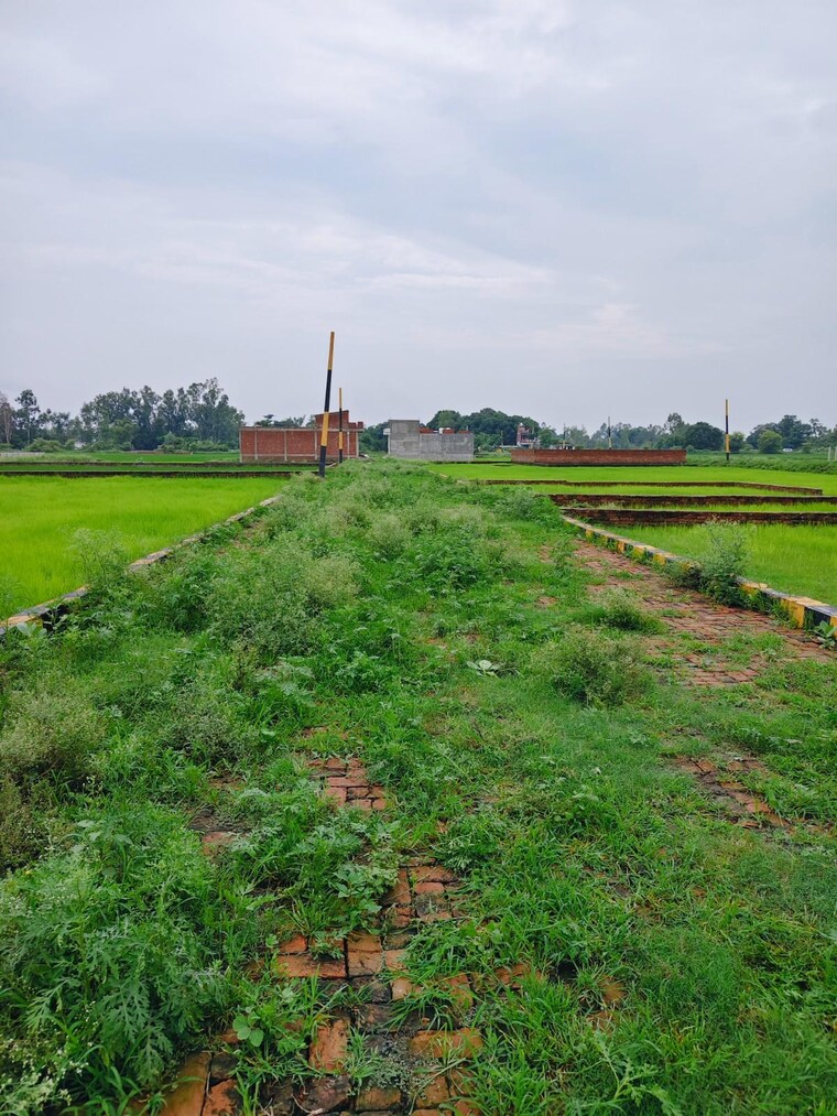 Garden, kursi road  1000 Sq.Ft. Plot In Kursi Road Lucknow 9183305