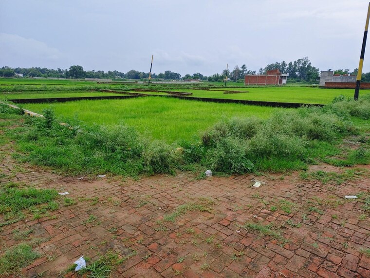 undefined, kursi road  1000 Sq.Ft. Plot In Kursi Road Lucknow 9183305