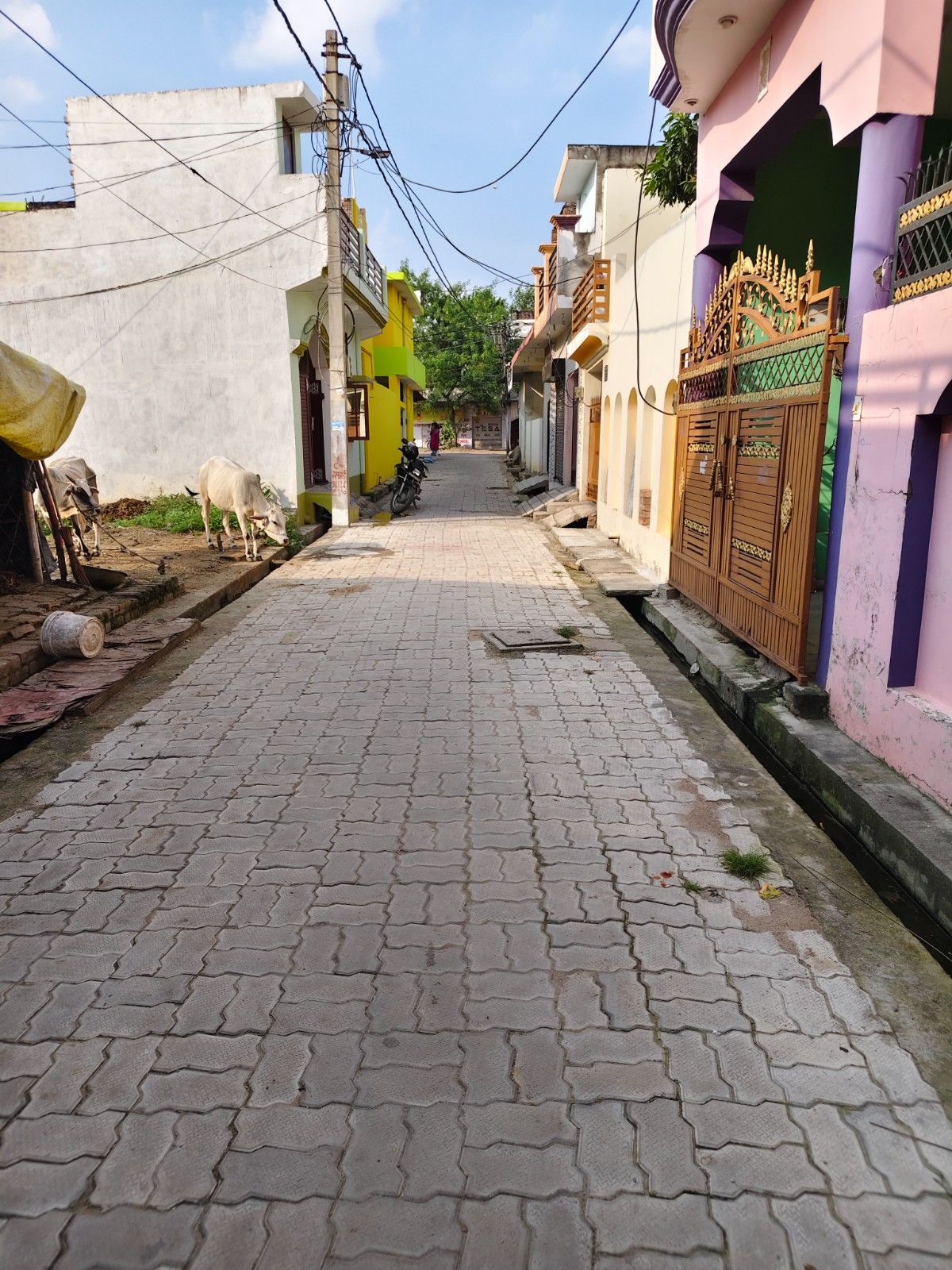 2 BHK Independent House For Sale in Preetinagar House 