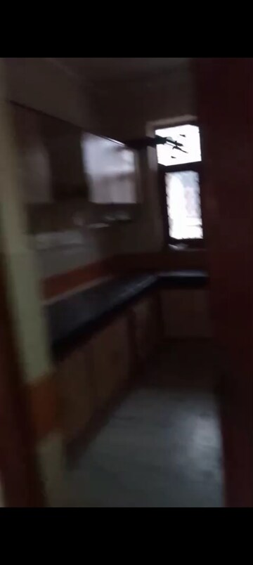 3 BHK Builder Floor For Rent in Ashoka Enclave Faridabad, Sector 34