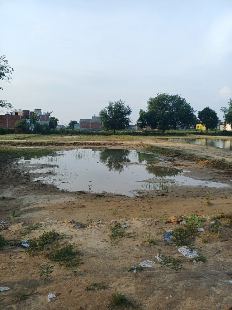 Garden, bhopani  60 Sq.Yd. Plot In Bhopani Faridabad 9183384