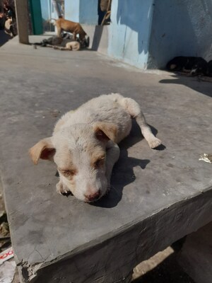 Parking in 3 BHK Apartment at UPAVP Ganga Yamuna And Hindon Enclave, Pratap Vihar – for Sale