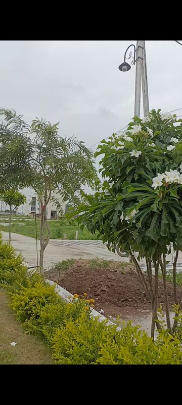  Plot – Garden View at Ringnodiya - for Sale