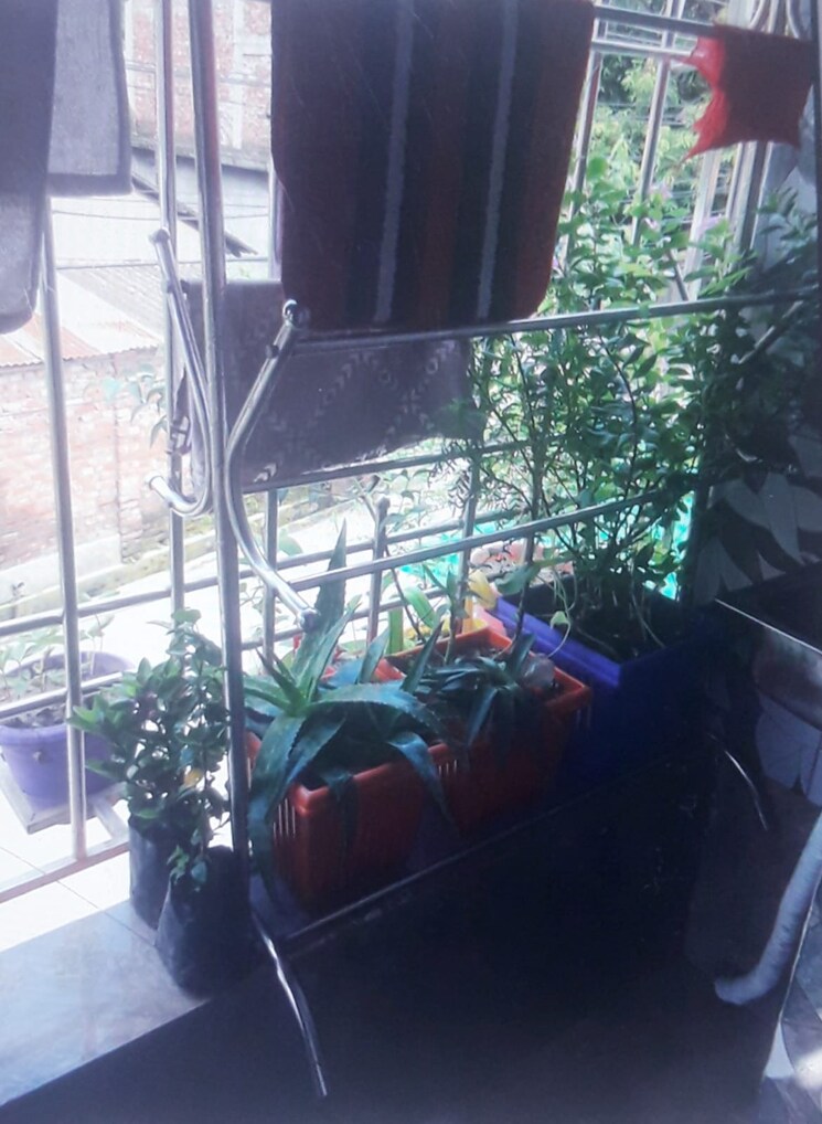 Other, pradhan nagar 2 Bedroom 730 Sq.Ft. Apartment In Pradhan Nagar Siliguri 9183772