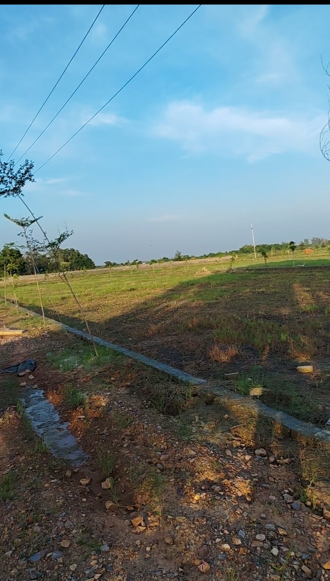 Plot For Sale in Sector 17A Yamuna Expressway