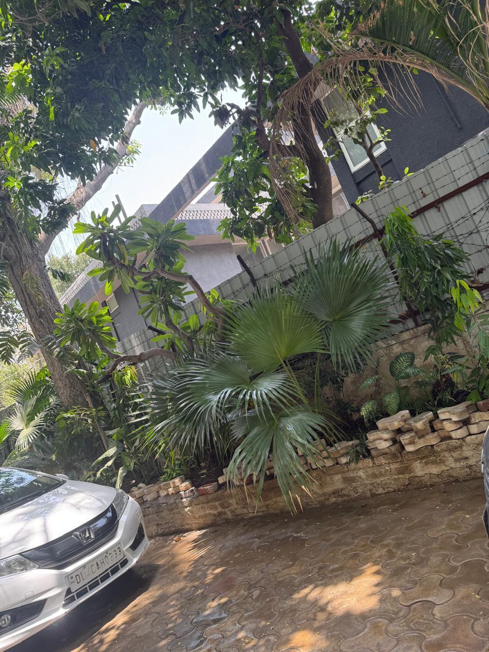 6+ BHK + Pooja Room,Servant Room,Study Room,Extra Room Independent House For Rent in South Extension II