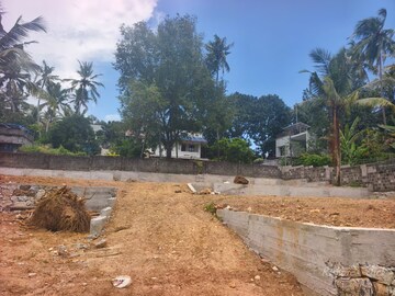 Plot Area in  Plot at Mannanthala – for Sale