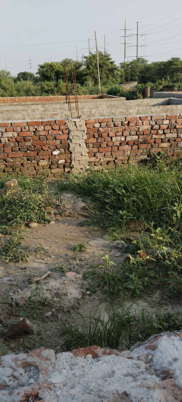 undefined, white-orchid  55 Sq.Yd. Plot In Sector 84 Noida 9184448