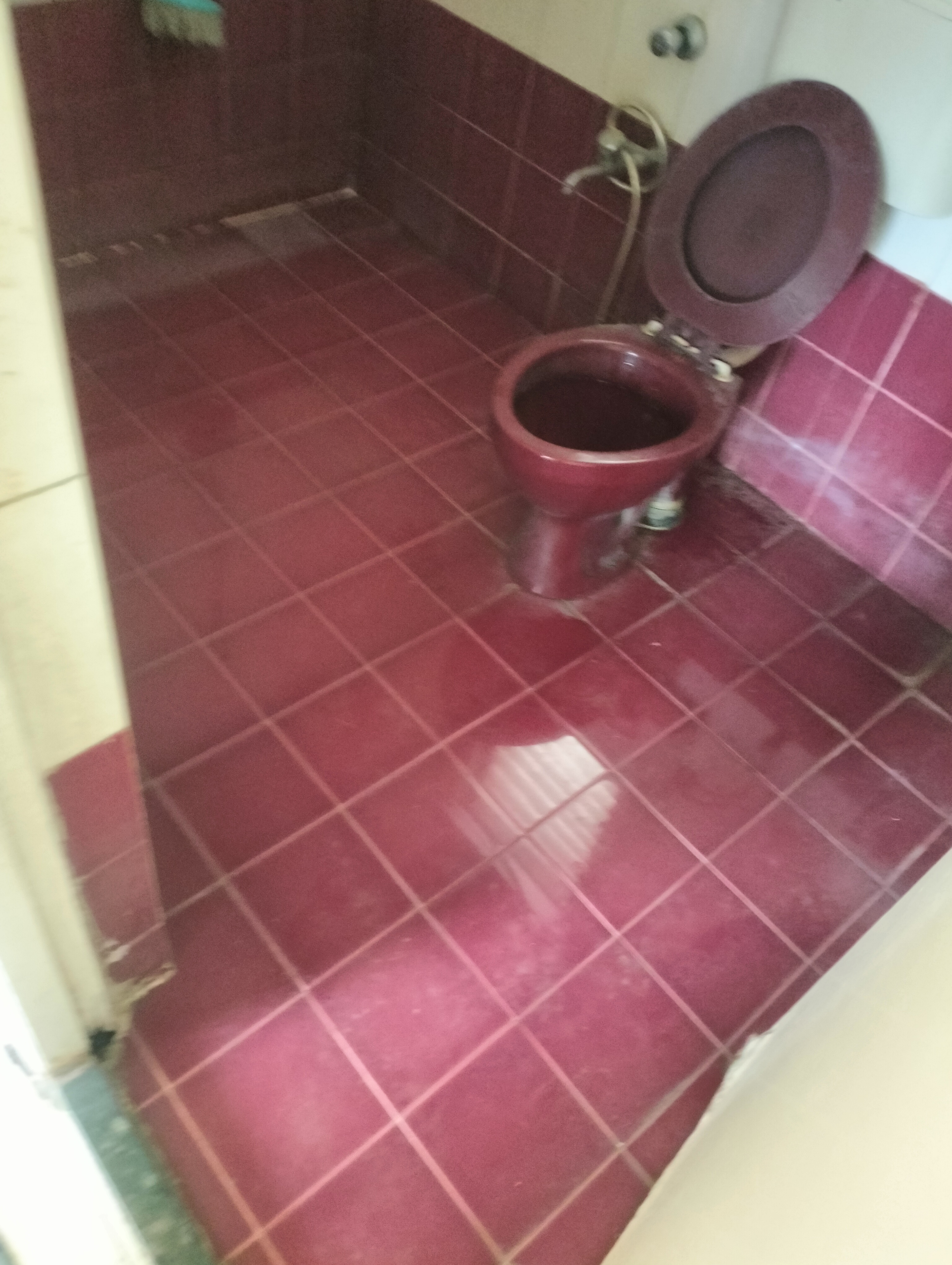 2 BHK 1600 Sq.Ft. Apartment in Raviraj Camellia