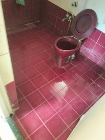 2 BHK Apartment For Rent in Raviraj Camellia, Wanwadi