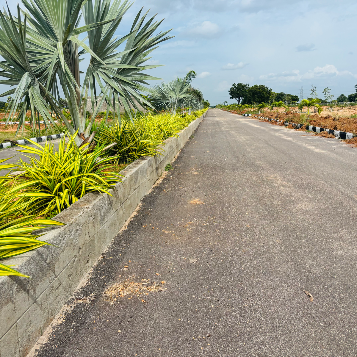 Plot For Sale in JB Nature Valley