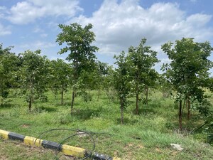 Plot Area in  Plot at Raigiri – for Sale