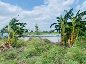  Plot – Garden View at Raigiri - for Sale