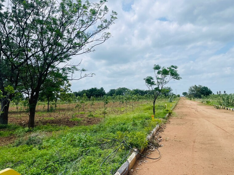 undefined, raigiri  150 Sq.Yd. Plot In Raigiri Hyderabad 9185042