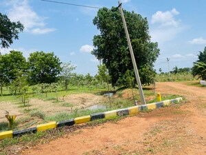  Plot – Garden View at Raigiri - for Sale